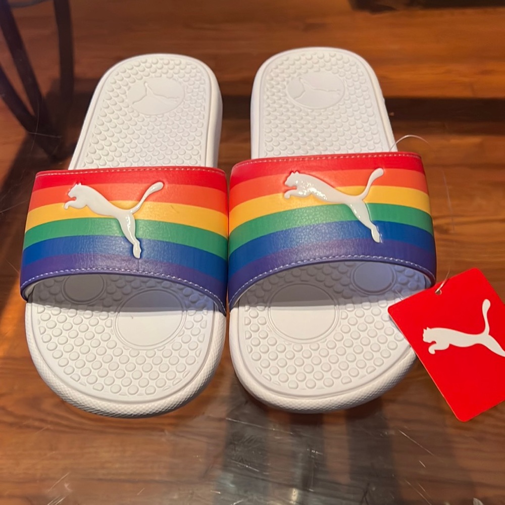 Puma rainbow slides